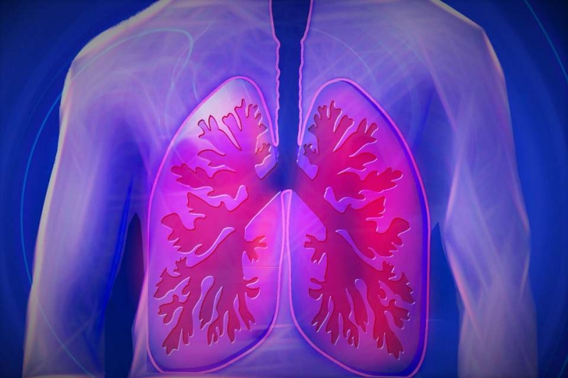 小细胞肺癌和间质性肺炎的区别有哪些我们应该怎么区分